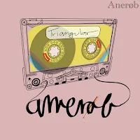 Anerøb — Triangular — обложка